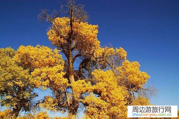 电影中有哪些让人神往的地方？