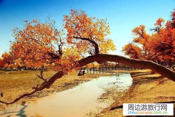 电影中有哪些让人神往的地方？