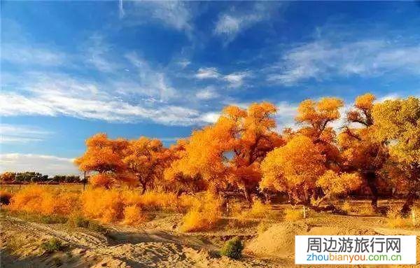 电影中有哪些让人神往的地方？