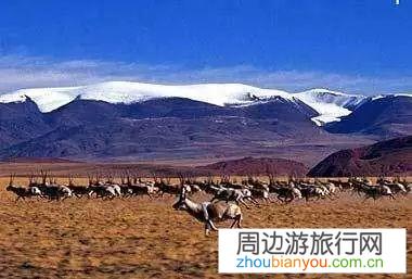电影中有哪些让人神往的地方？
