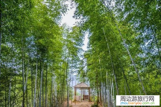 电影中有哪些让人神往的地方？