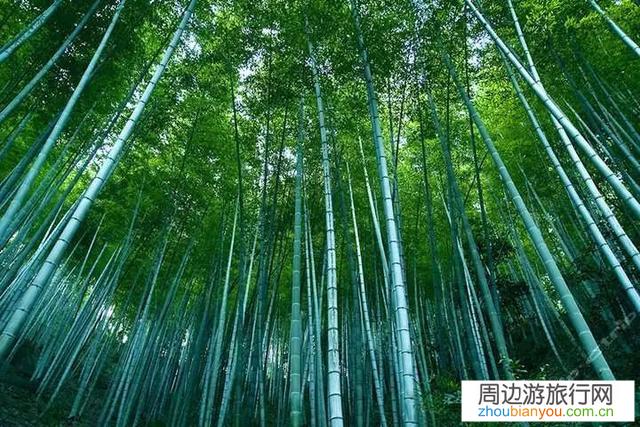 电影中有哪些让人神往的地方？