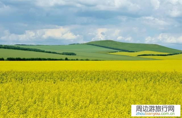 口罩暑期，自驾去满洲里、恩和，这里与俄罗斯临界，安全吗？谢谢？