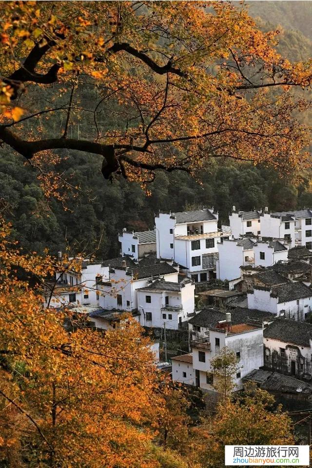 明天准备到婺源旅游，喜欢摄影，有了解的给推荐下现在婺源那些地方特别适合拍摄？