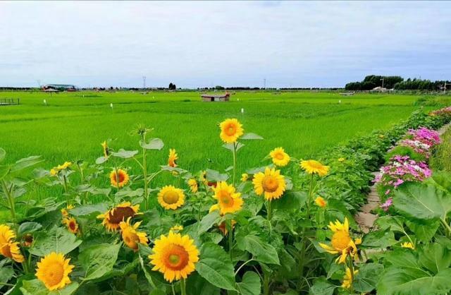 恢复跨省区市团队旅游！还会恢复以前的火爆场面吗？