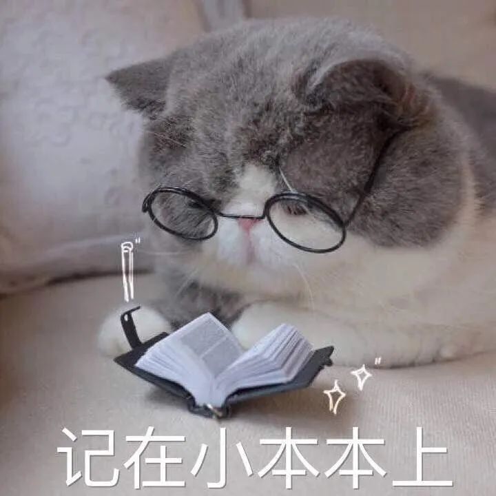 端午去哪儿？周边游很热门！
