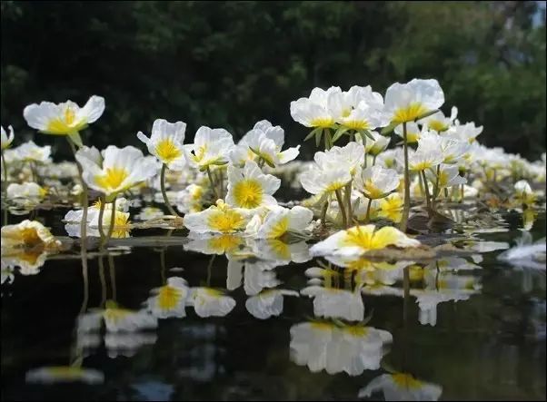 6月南宁周边游线路推荐，自由行套餐，款款顺心！