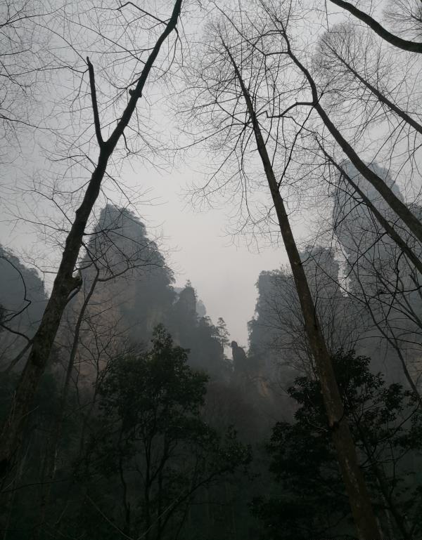 在旅行前你会做旅行攻略吗?做旅行攻略你会把要点放在哪一方面？