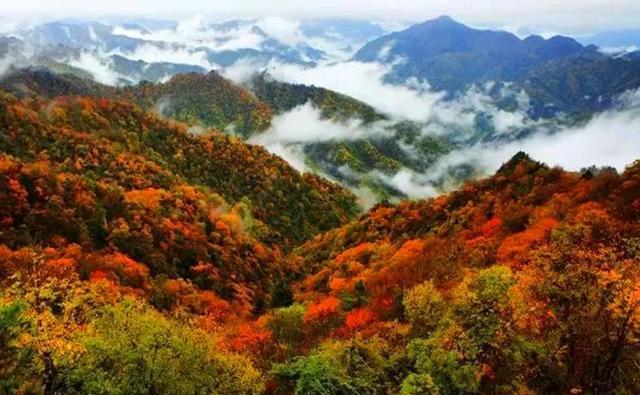 从郑州岀发自驾秦岭赏红叶走省道，环线，不限时间，怎么走？