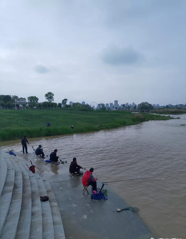每次旅游你会带一本书在路上消遣吗？