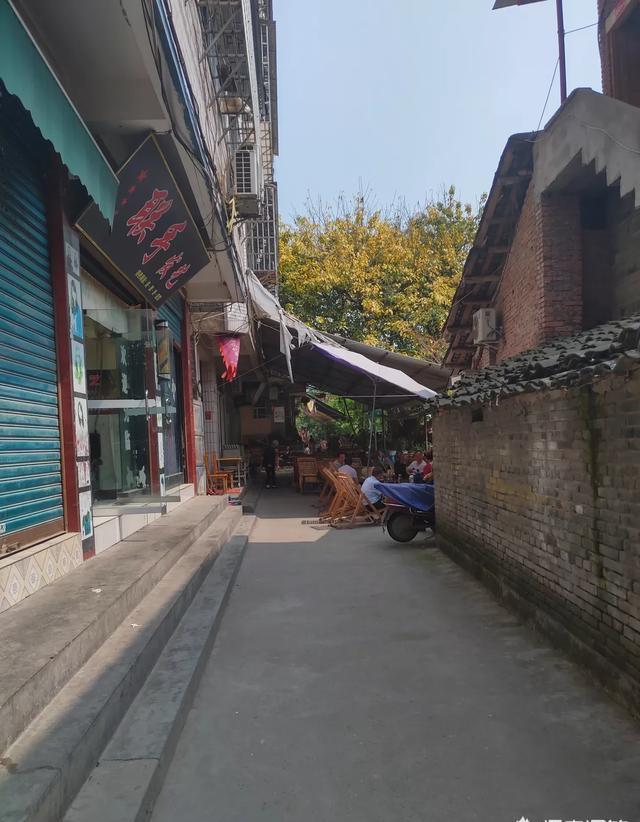 每次旅游你会带一本书在路上消遣吗？