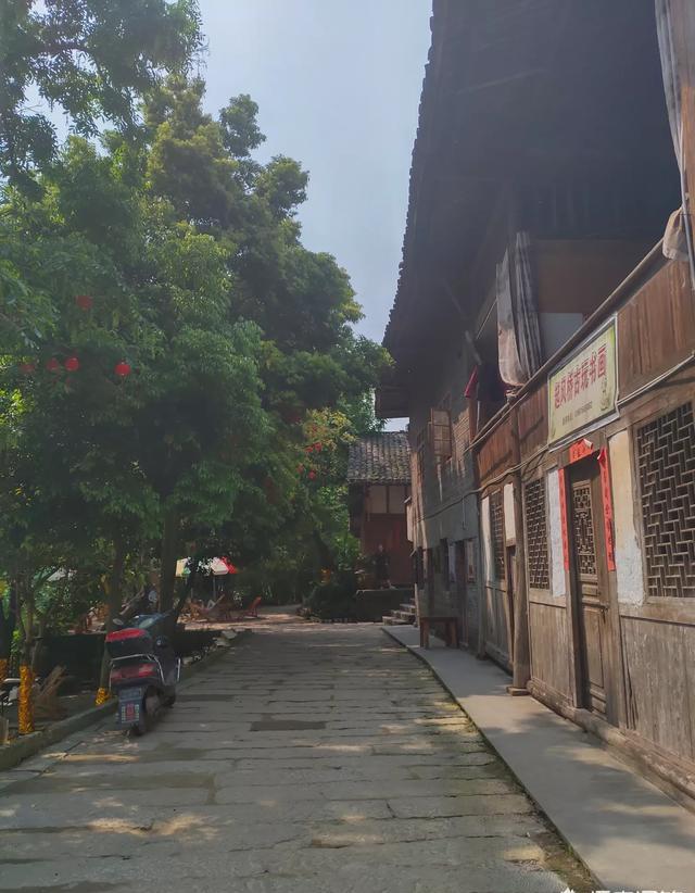 每次旅游你会带一本书在路上消遣吗？