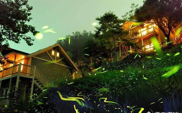 夏天，你感觉哪里的夜景最美，最值得一去？