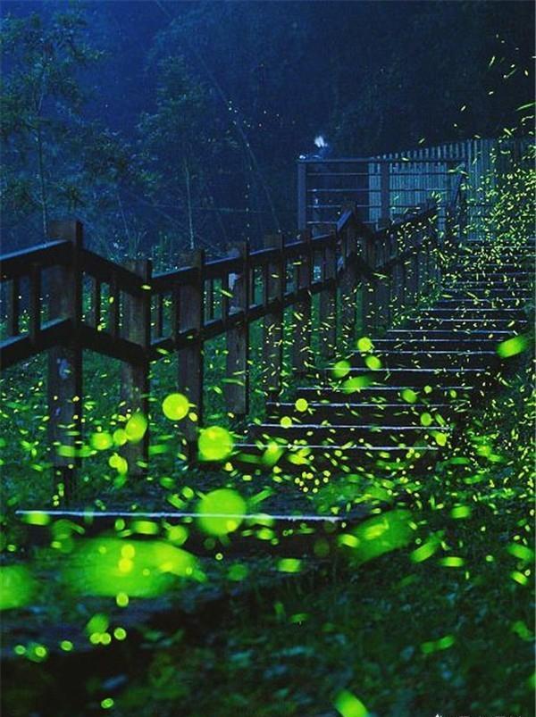 夏天，你感觉哪里的夜景最美，最值得一去？