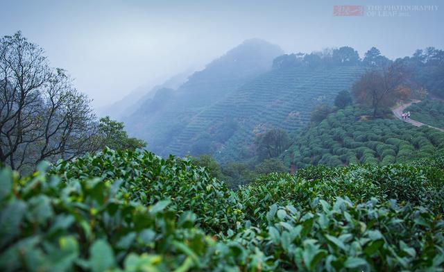 杭州必去十大景区是哪些？