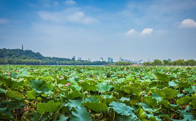 你最喜欢中国的哪座城市？