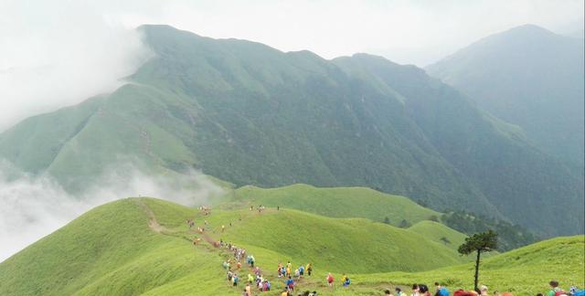 5月中下旬国内哪里的气温好、适合旅游？