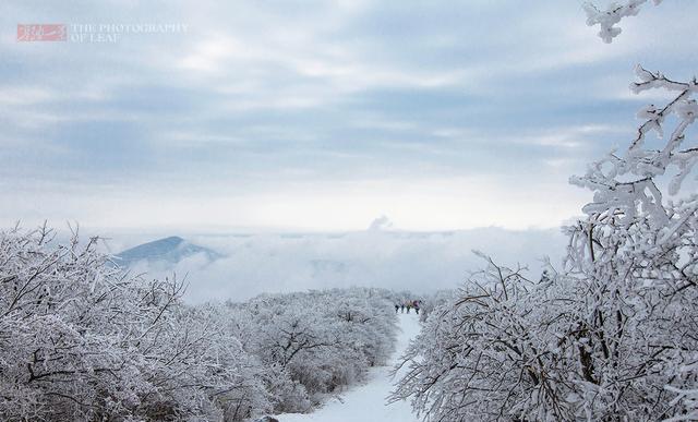哪些地方的雪景很美？