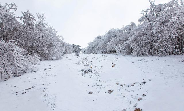 哪些地方的雪景很美？