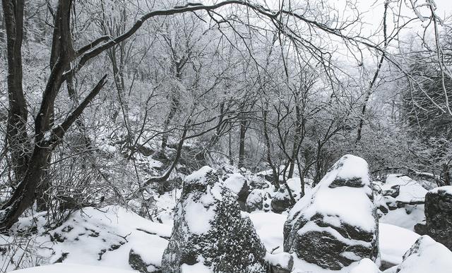 哪些地方的雪景很美？