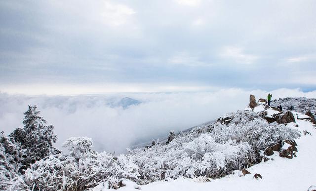 哪些地方的雪景很美？