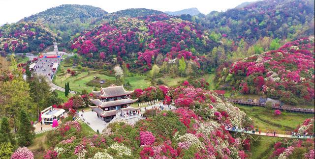中国哪里有花海？国内花海旅游景点