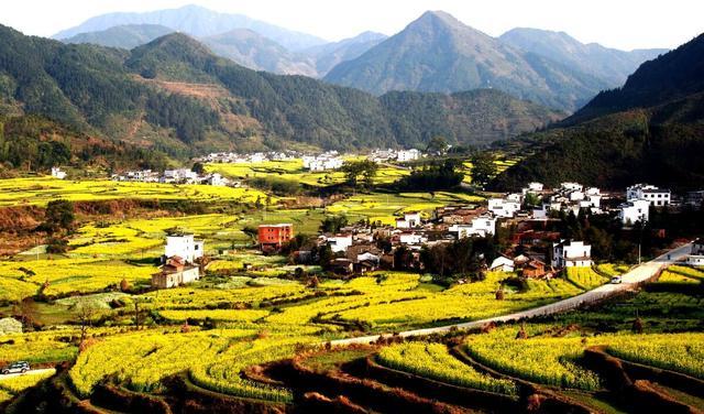 中国哪里有花海？国内花海旅游景点