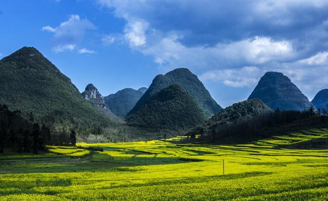 中国哪里有花海？国内花海旅游景点