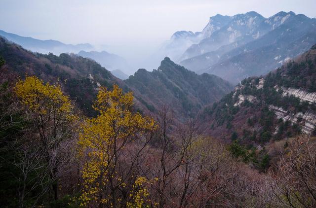 河南最高峰老鸦岔垴风景介绍