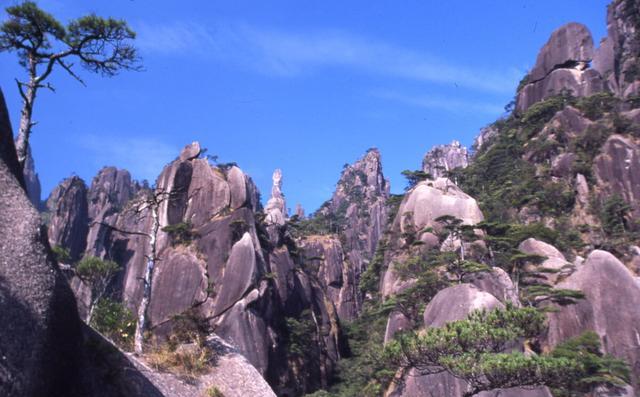 山东泰山、陕西华山、安徽黄山、江西三清山哪座最美？