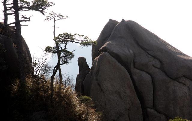 山东泰山、陕西华山、安徽黄山、江西三清山哪座最美？